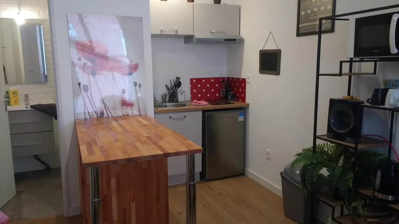 Palais De Justice Apartment Toulouse