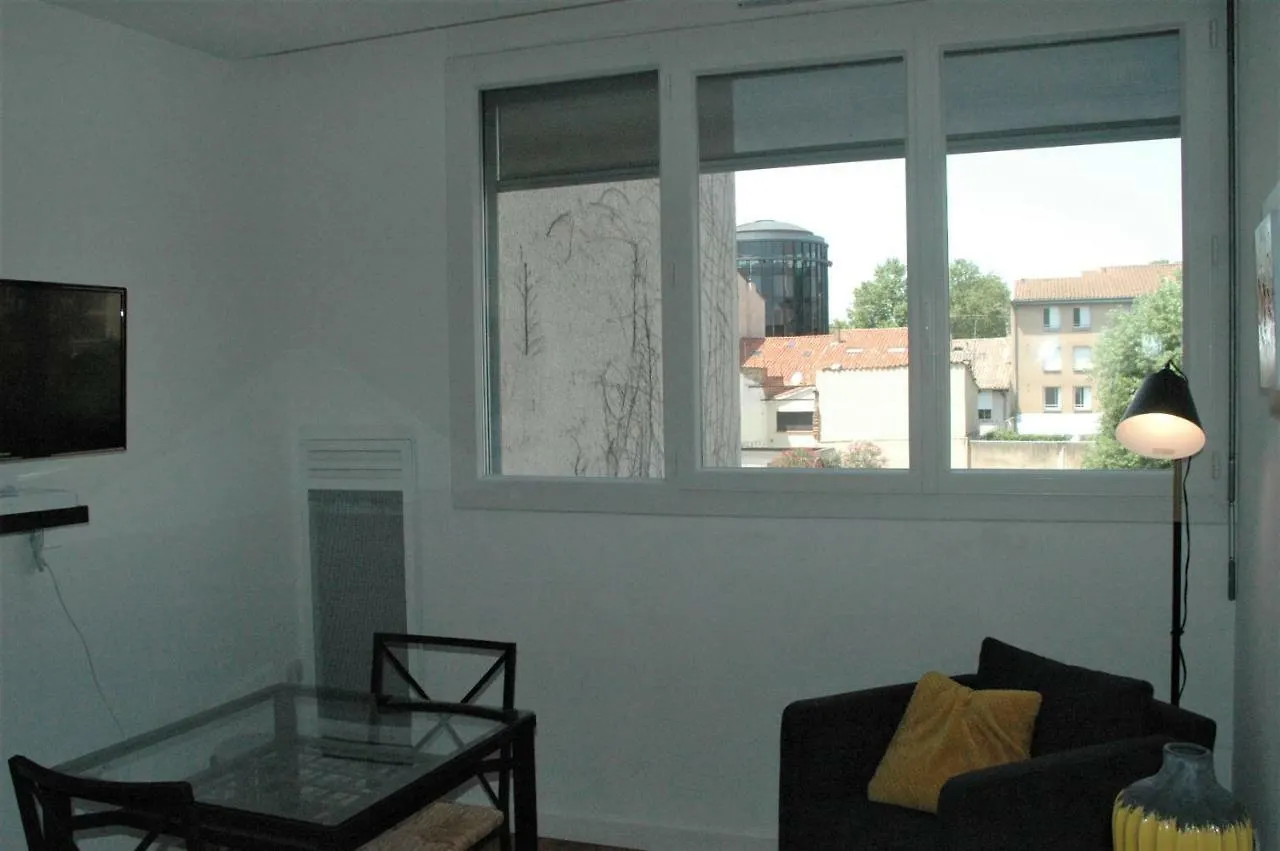 Palais De Justice Apartment Toulouse